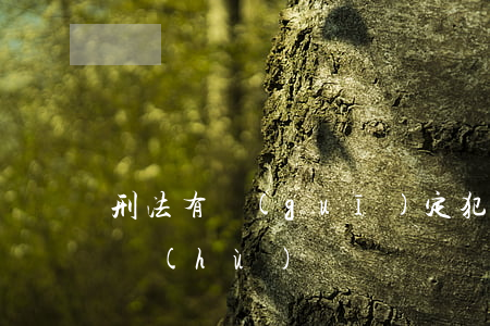刑法有規(guī)定犯什么罪不能律師辯護(hù)嗎？